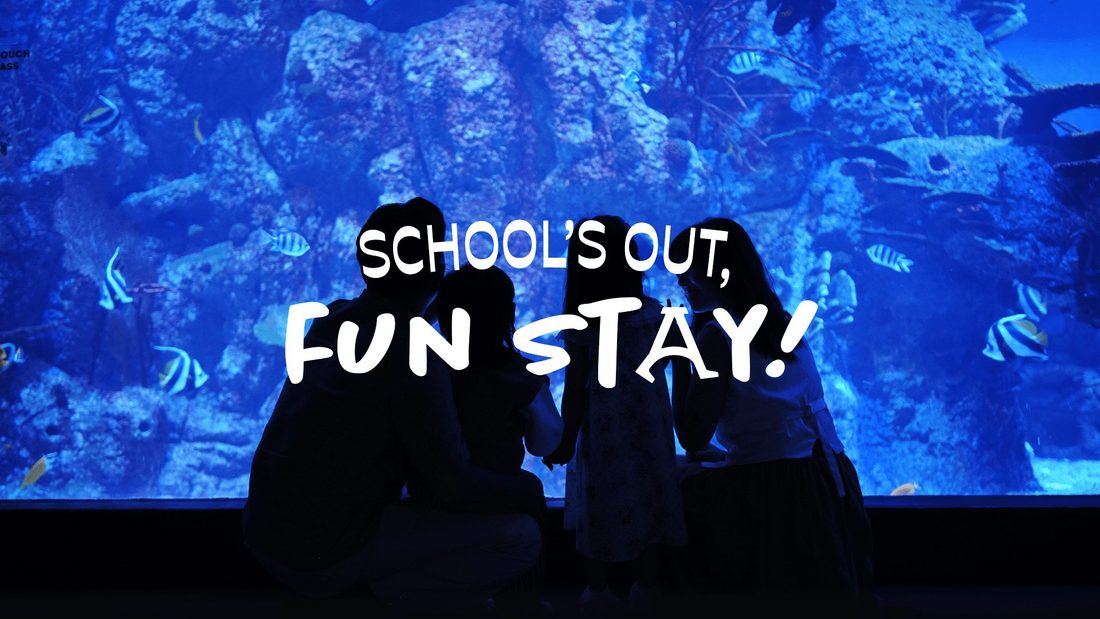 School's Out, Fun Stay!